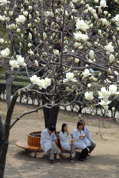 2005년 4월 1일 동아대학교 대신캠퍼스 